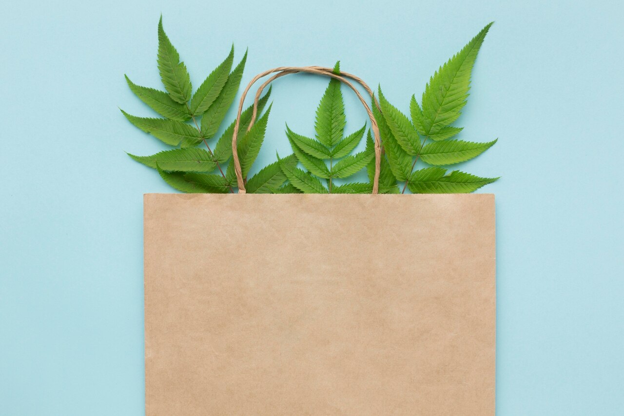 Biodegradable Bag